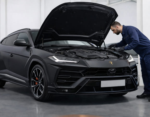 Lamborghini inspection